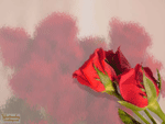 Valentines day Wallpapers
